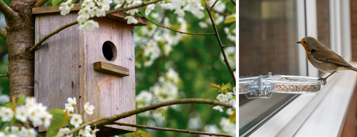 Vogelvoer en vogelhuisjes voor tuinvogels | GroenRijk Beneden Leeuwen