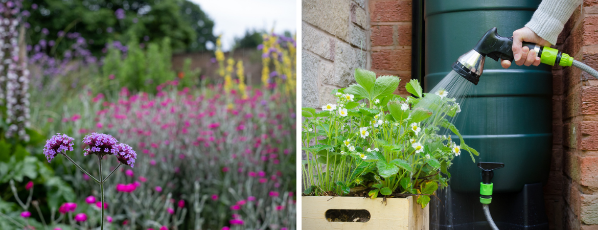 Tips voor een duurzame tuin