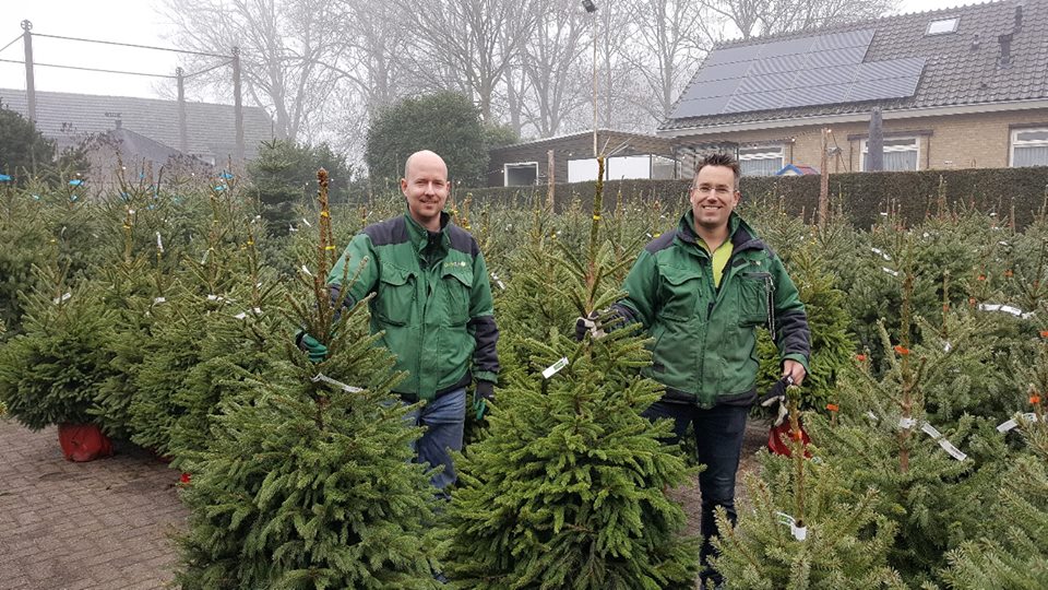 Kerstboom uitzoeken dichtbij Nijmegen?