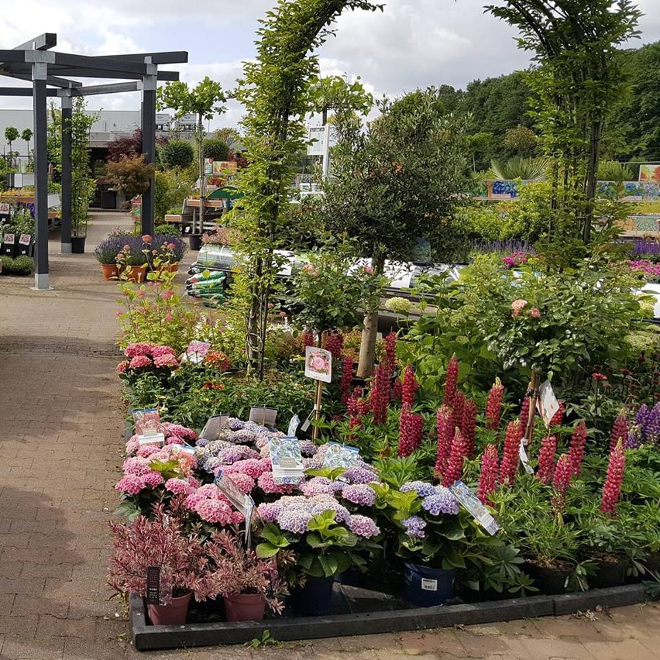 Planten kopen tijdens onze koopzondag nabij Nijmegen