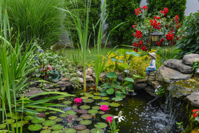 Waterplanten