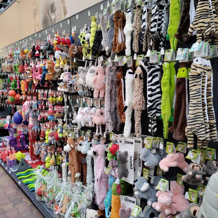 Dierenwinkel bezoeken? Kom naar GroenRijk Beneden Leeuwen!