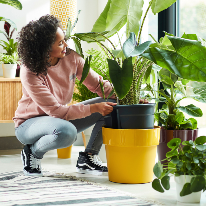 Potten binnen? Je koopt ze bij GroenRijk Beneden Leeuwen!