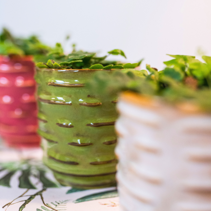 Bloempotten van TS Collection shop je bij tuincentrum GroenRijk Beneden Leeuwen!