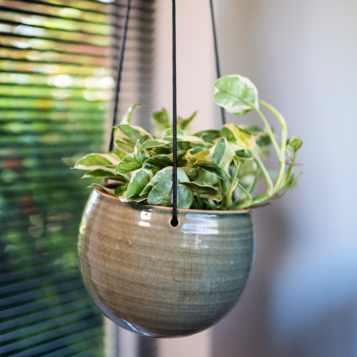 Bloempotten van TS Collection shop je bij tuincentrum GroenRijk Beneden Leeuwen!