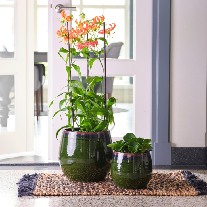 Bloempotten van TS Collection shop je bij tuincentrum GroenRijk Beneden Leeuwen!