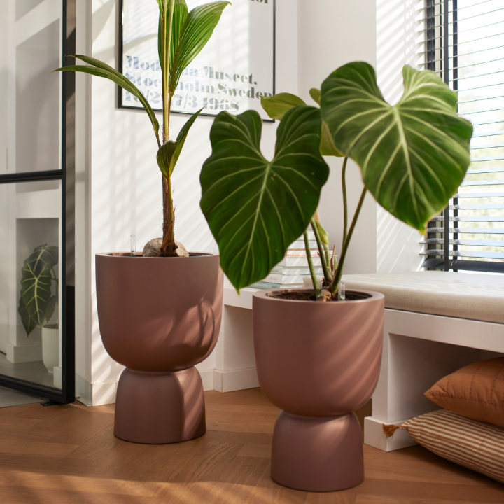 Bloempotten van kunststof shop je bij tuincentrum GroenRijk Beneden Leeuwen!