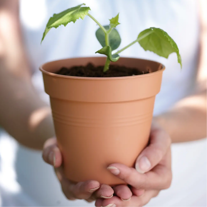 Kweekpotten en inlays shop je bij tuincentrum GroenRijk Beneden Leeuwen!