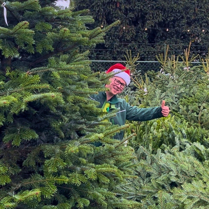Kerstboom van GroenRijk Beneden Leeuwen! Kerstboom van GroenRijk Beneden Leeuwen!