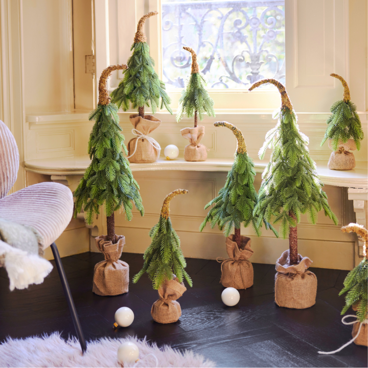 Mini kerstboom van GroenRijk Beneden Leeuwen! Mini kerstboom van GroenRijk Beneden Leeuwen!