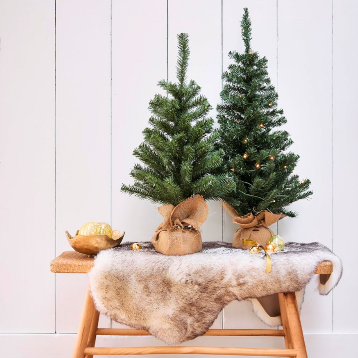 Kerstbomen, groot of klein, van GroenRijk Beneden Leeuwen! Kerstbomen, groot of klein, van GroenRijk Beneden Leeuwen!