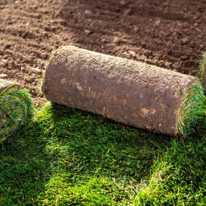 Koop jouw graszoden bij GroenRijk Beneden Leeuwen! Koop jouw graszoden bij GroenRijk Beneden Leeuwen!