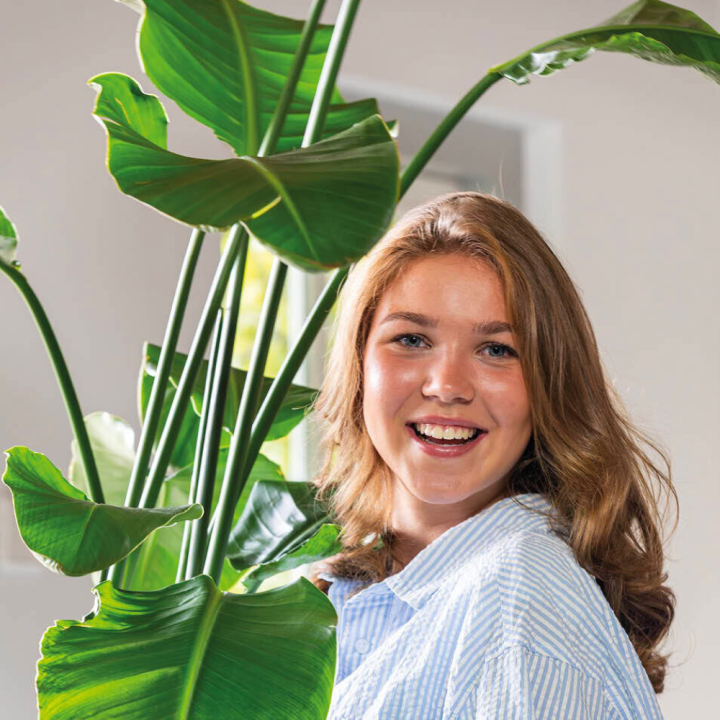 Groene kamerplanten van tuincentrum GroenRijk Beneden Leeuwen!