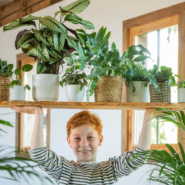 Potten binnen? Je koopt ze bij GroenRijk Beneden Leeuwen!