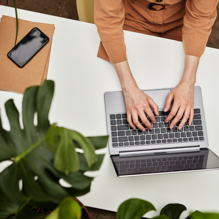 Shop jouw bloeiende kamerplanten bij GroenRijk Beneden Leeuwen!