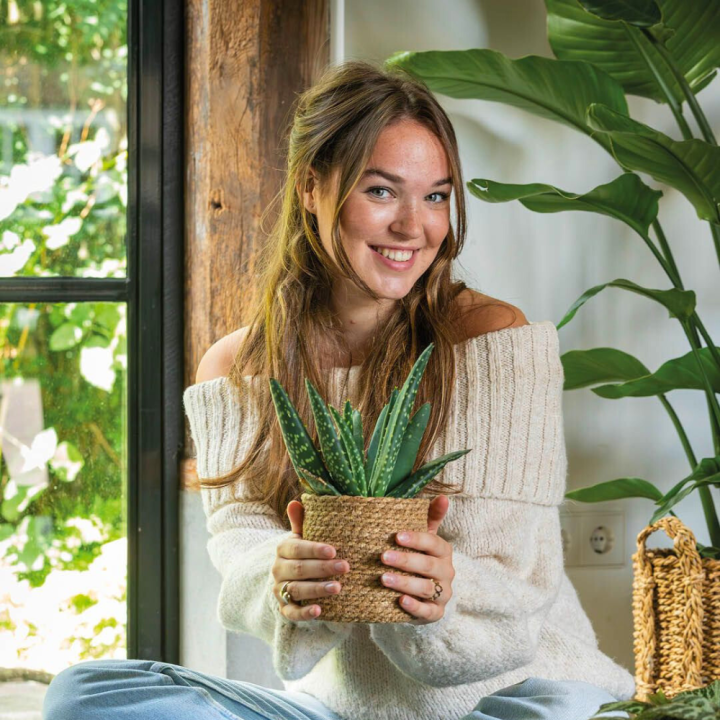 Kamerplanten kopen? Kom naar GroenRijk Beneden Leeuwen! Kamerplanten kopen? Kom naar GroenRijk Beneden Leeuwen!