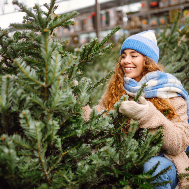 Kerstbomen van GroenRijk Beneden Leeuwen! Kerstbomen van GroenRijk Beneden Leeuwen!