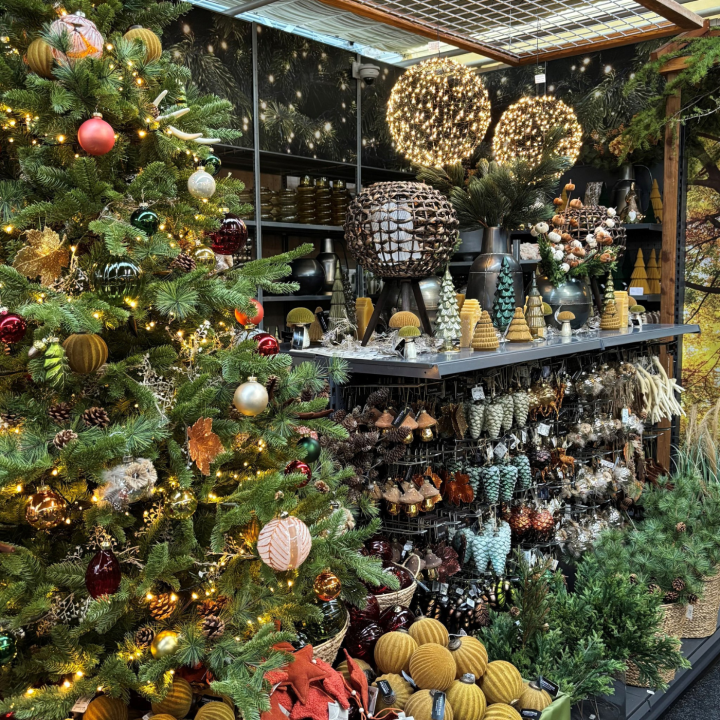 Kerstversiering van GroenRijk Beneden Leeuwen!