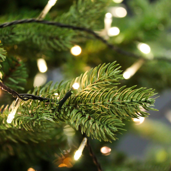 Kerstverlichting van GroenRijk Beneden Leeuwen! Kerstverlichting van GroenRijk Beneden Leeuwen!