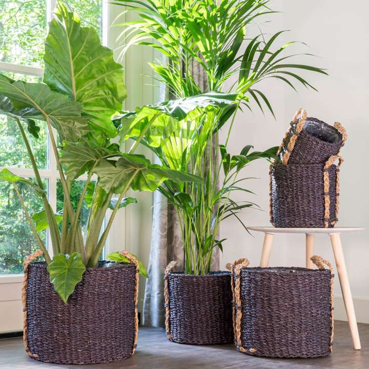 Potten binnen? Je koopt ze bij GroenRijk Beneden Leeuwen!