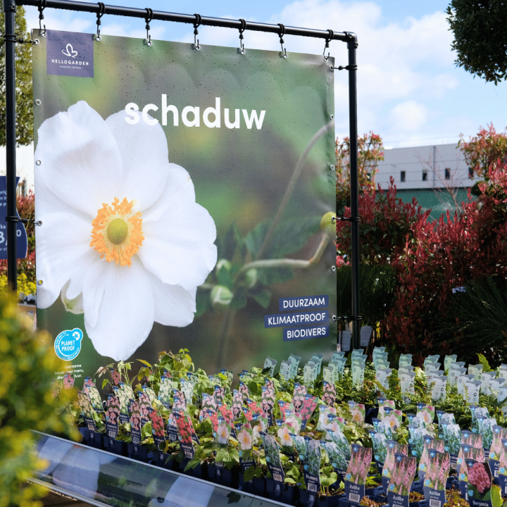Tuinplanten kopen? Kom naar GroenRijk Beneden Leeuwen!