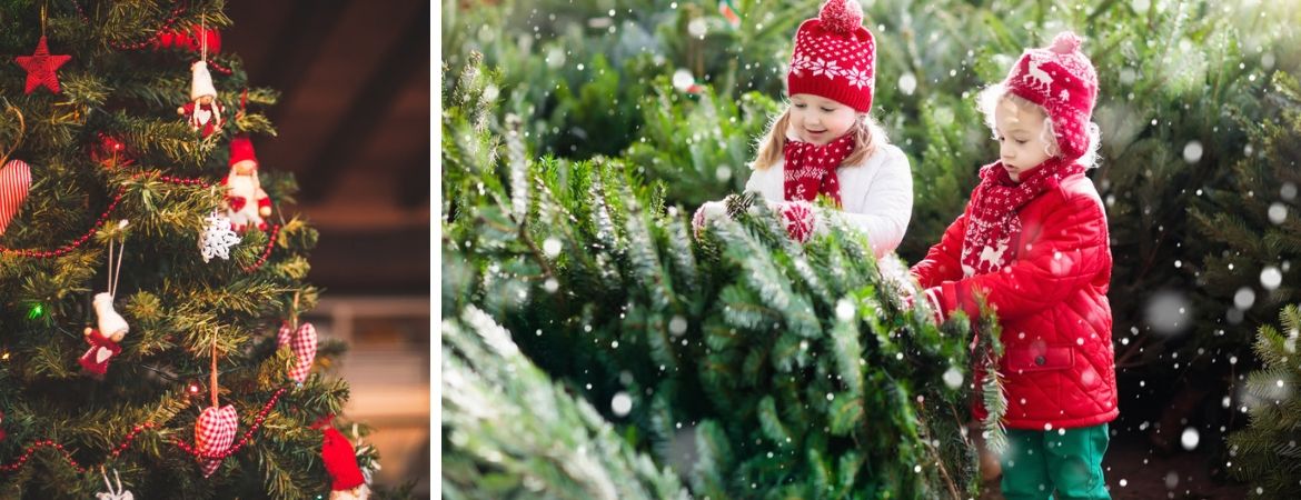 Kerstbomen kopen Beneden Leeuwen