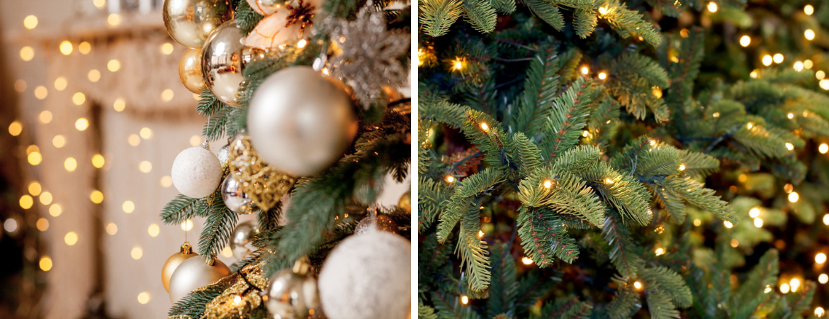 Kerstbomen