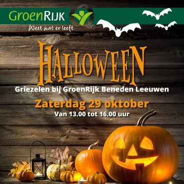 Workshop halloween pompoen maken