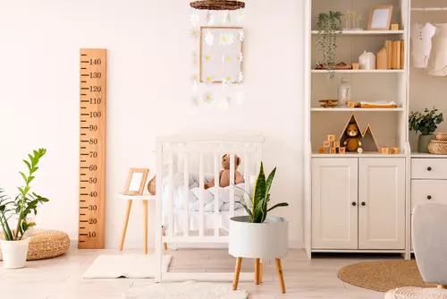 De leukste kamerplanten voor op de kinderkamer