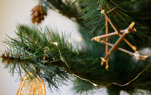 Hoe maak je kerst duurzamer dit jaar?