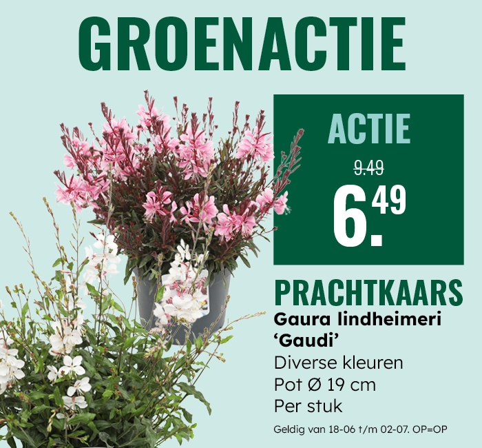 Groenactie: Prachtkaars