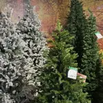 Terugblik: kerst 2025