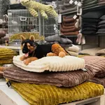 Onze dierenafdeling!