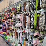 Onze dierenafdeling!