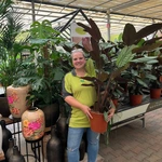 Onze kamerplantenafdeling!