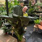 Onze kamerplantenafdeling!