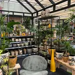 Onze kamerplantenafdeling!