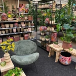 Onze kamerplantenafdeling!