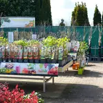 Onze tuinplantenafdeling!