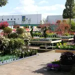 Onze tuinplantenafdeling!