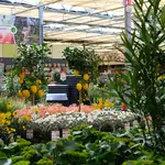 Onze tuinplantenafdeling!