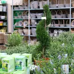 Onze tuinplantenafdeling!