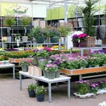 Onze tuinplantenafdeling!