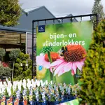 Onze tuinplantenafdeling!
