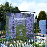 Onze tuinplantenafdeling!