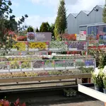 Onze tuinplantenafdeling!