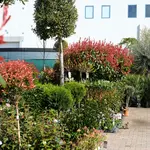 Onze tuinplantenafdeling!