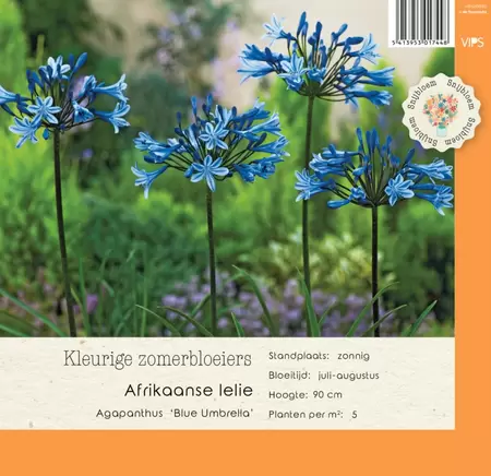 VIPS Agapanthus Blue Umbrella   P9