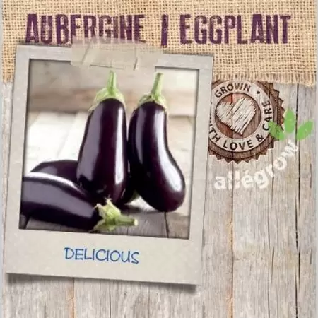 ALLEGROW Aubergine - afbeelding 2