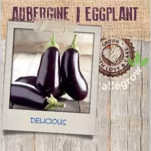 ALLEGROW Aubergine - afbeelding 2